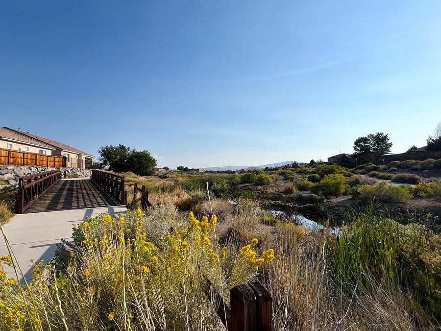 Furnished Finder property 902418_1 photo 57
