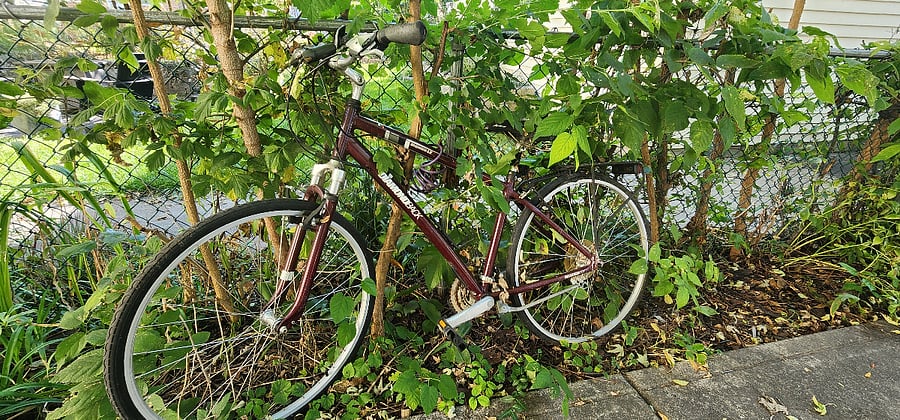 Adult bicycles, with helmets and locks, are available for use upon request