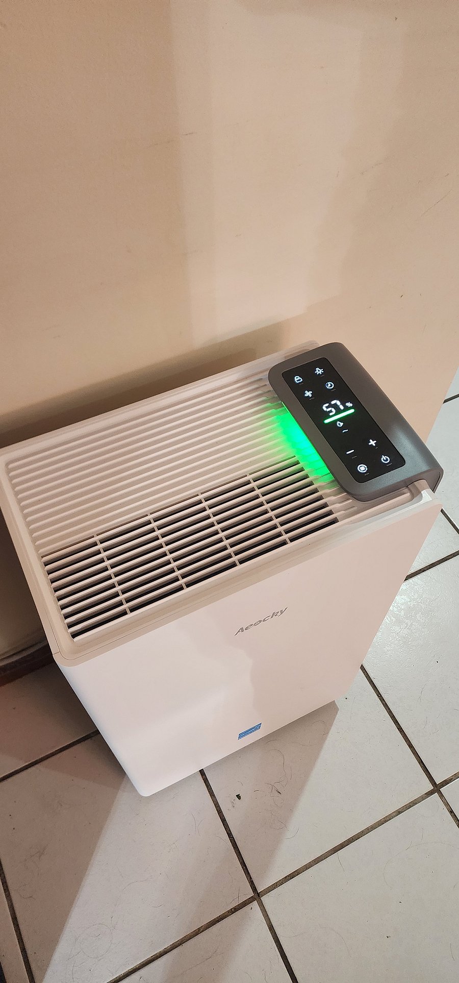 A quiet dehumidifier keeps the space at 55% humidity year-round