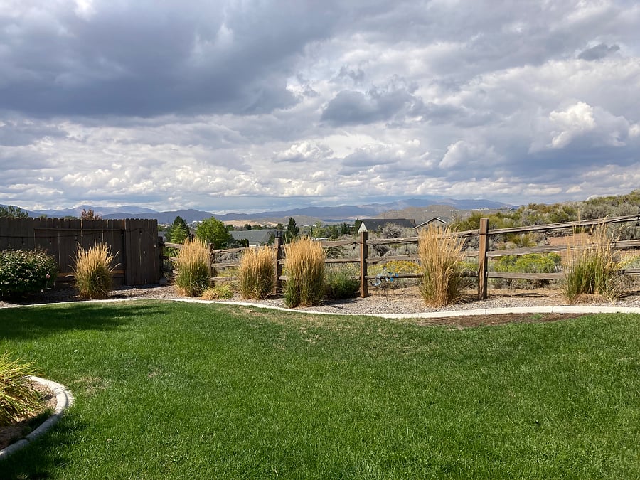 Beautiful back yard with BLM land behind. Gorgeous mountain views, nice patio area and smaller patio area under the trees.