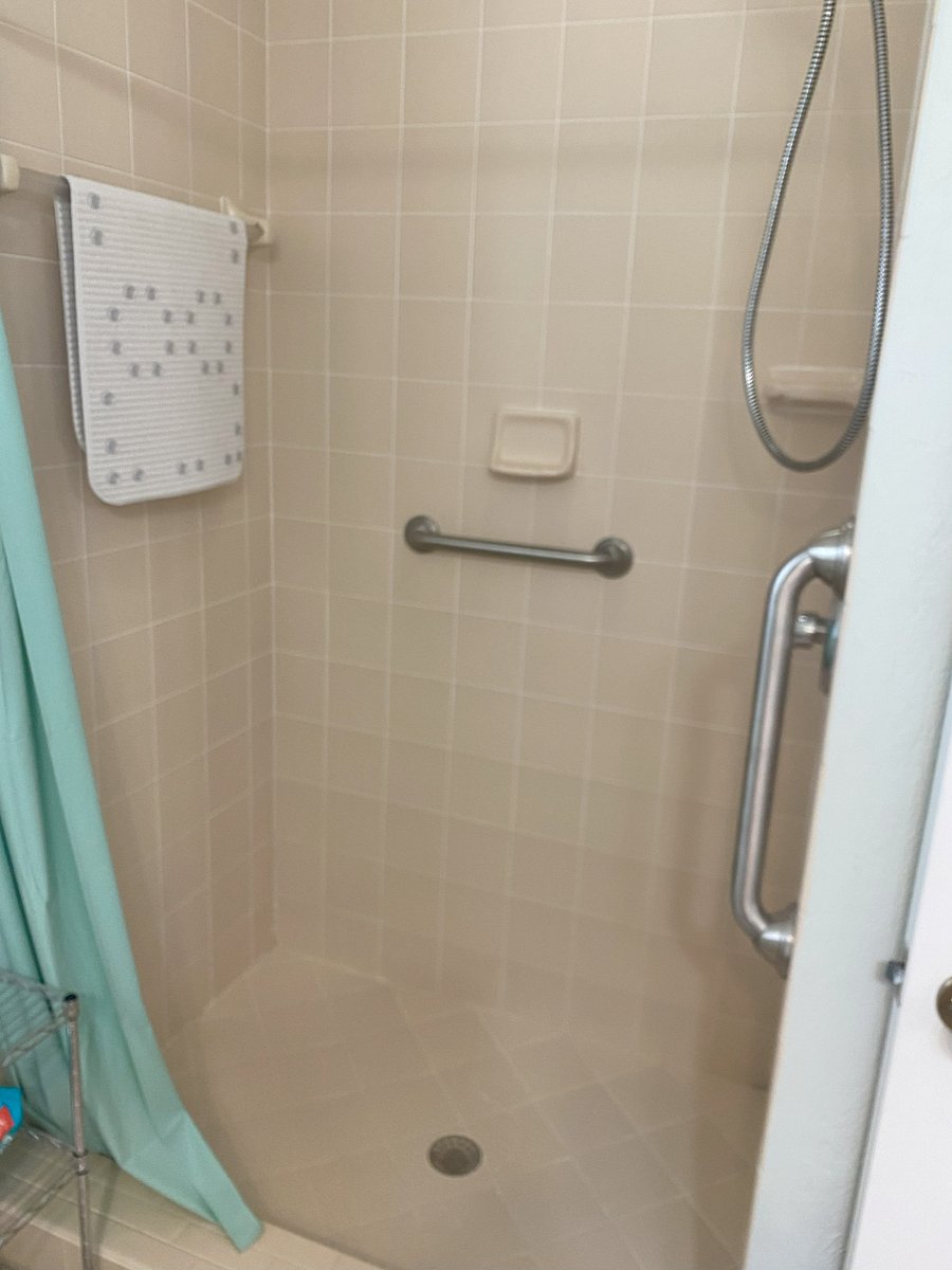 Walk-In Shower multiple handicapped bars