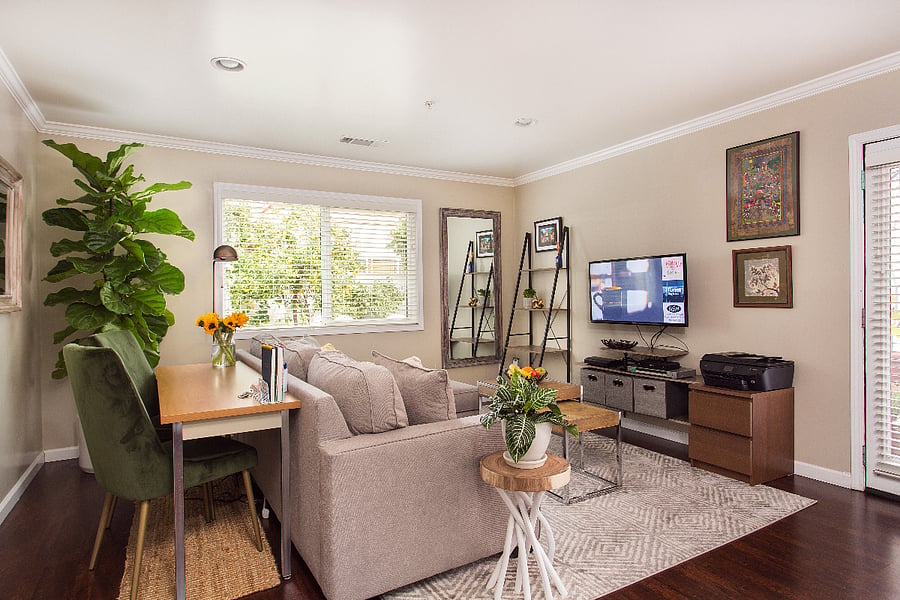 Living room and a working desk / dining table