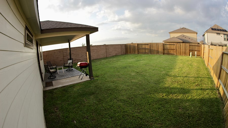 Backyard