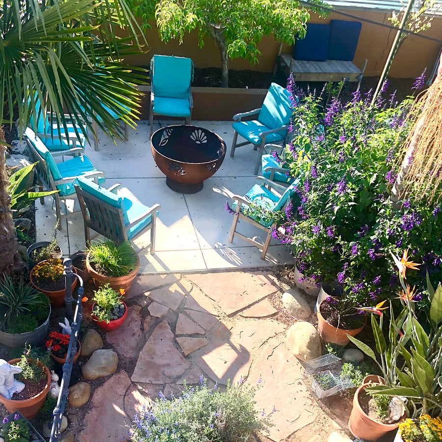 The back yard is full of fruit trees and flowering shrubs. We can add a playset for young ones 