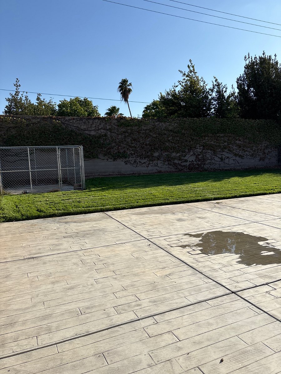 spacious backyard with a dog kennel
