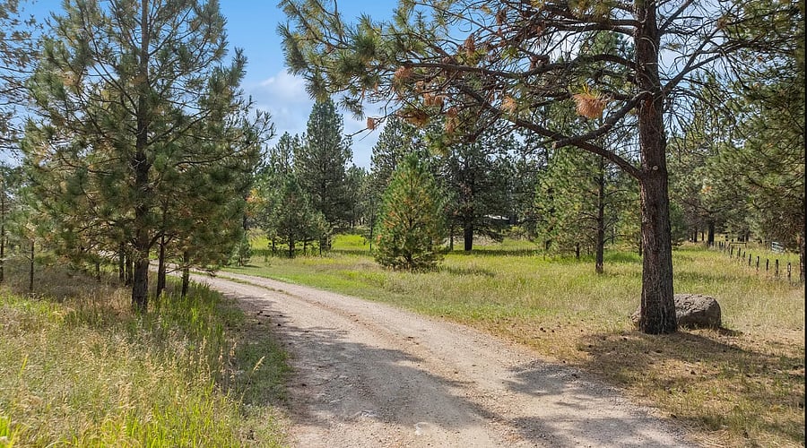 Long dirt road driveway.