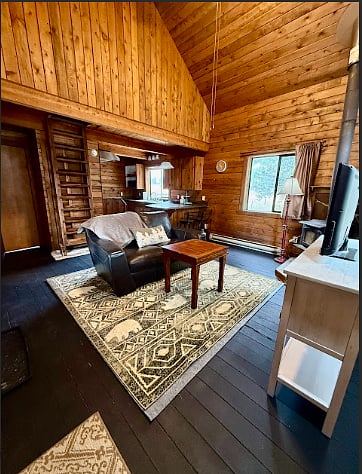 Living room includes woodburning stove, electric baseboard heating and view of pine trees and mountains with three large windows and entertainment center.