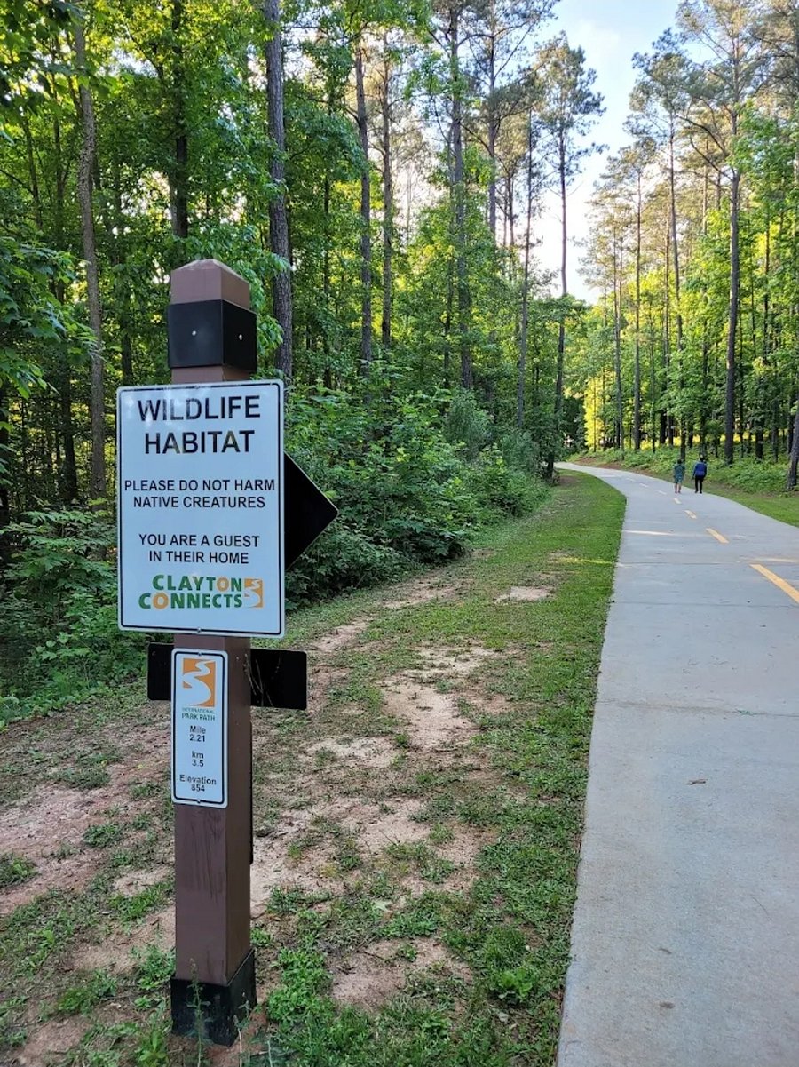Walking trail at the International Park