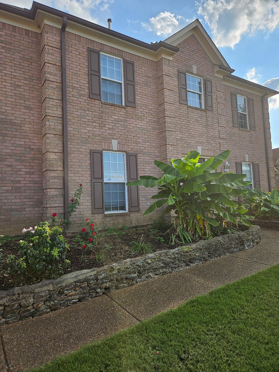 Furnished Finder property 903155_1 photo 10