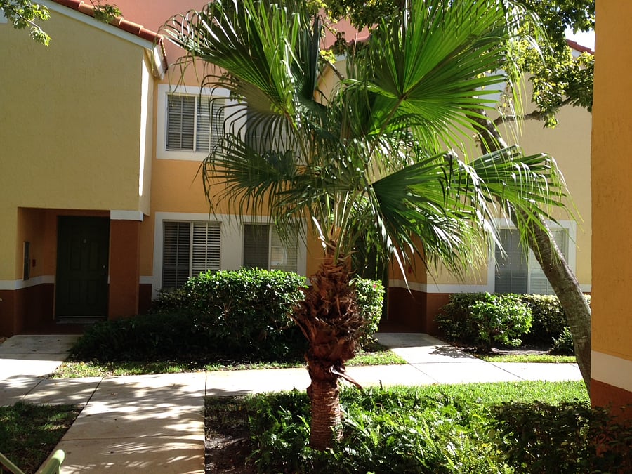 Furnished Finder property 903179_1 photo 11