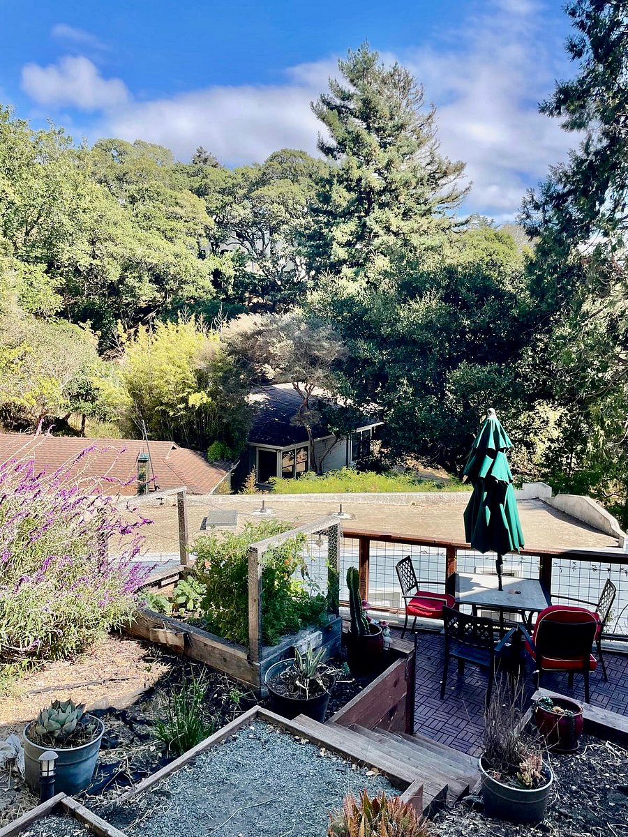 Everyday you are surrounded by peaceful nature, a wonderful respite from a day of working.