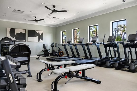 Full Gym