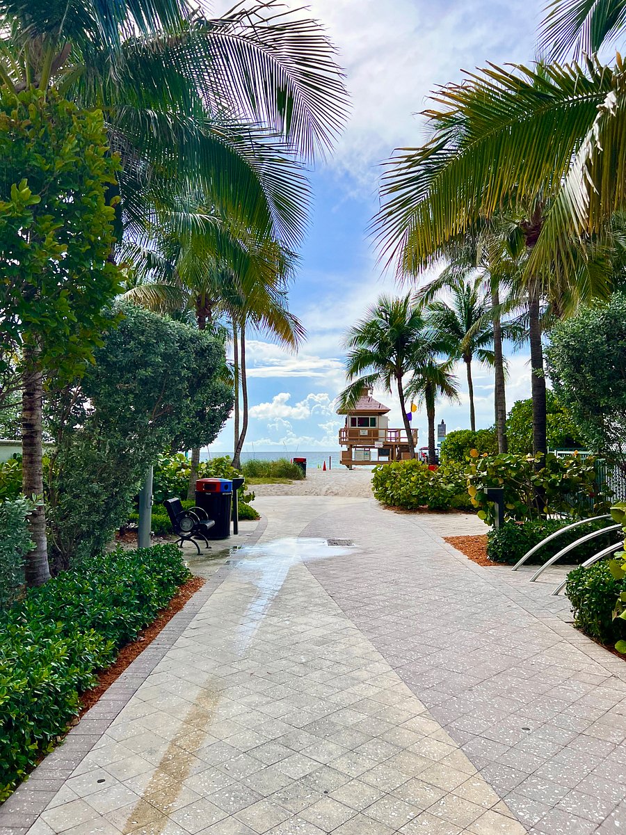 Path to the beach