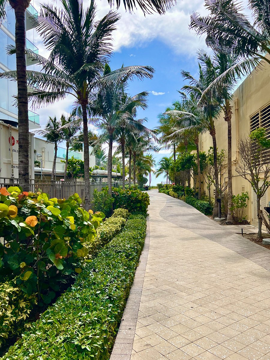 Path to the beach