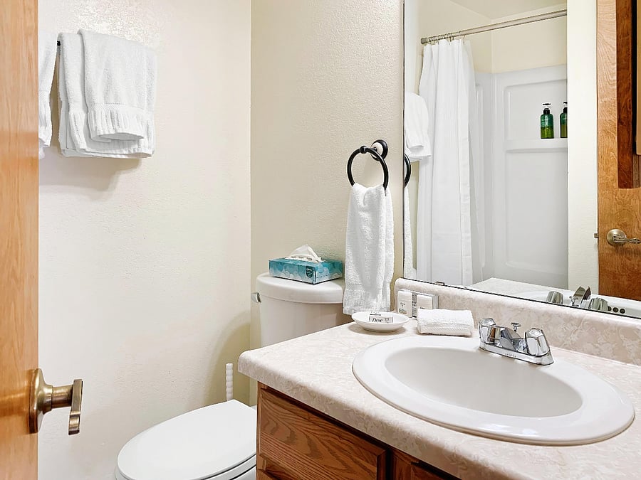 Bathroom 1: Queen Bedroom Suite