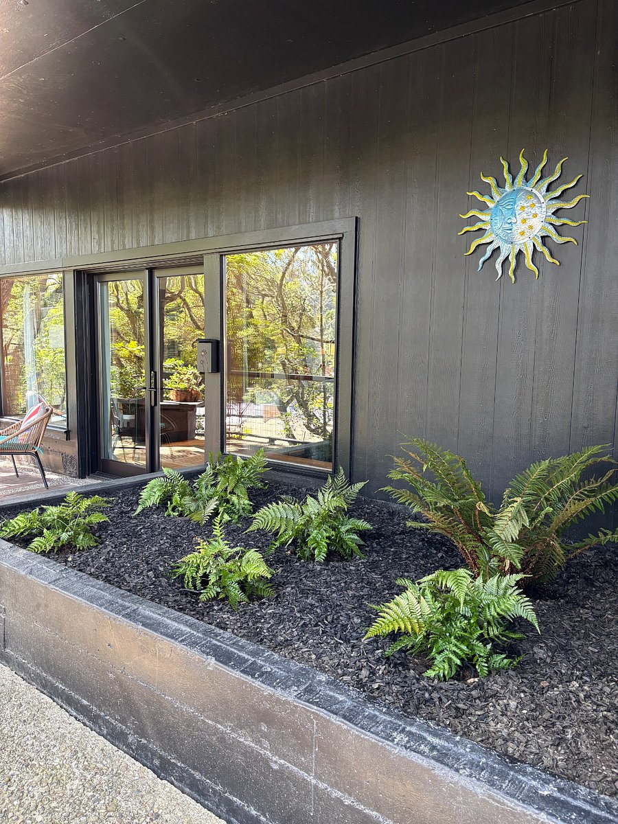 Fern Garden