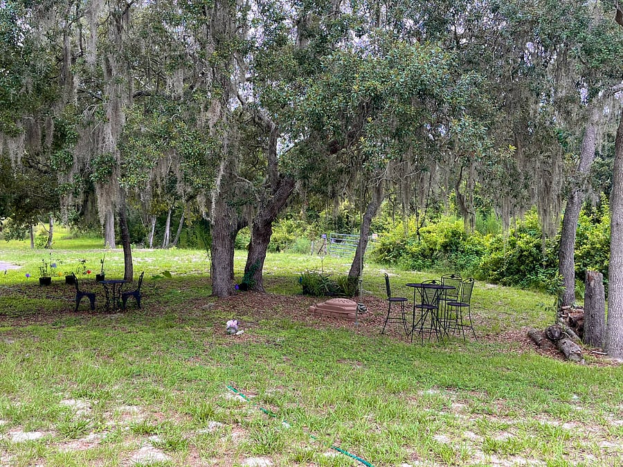 Yard (2 Seating Areas: Bistro Table w/4 Chairs, Cast Iron Table w/2 Chairs)