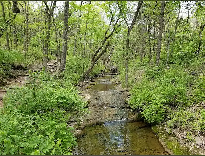 Springfield Conservation Nature Center