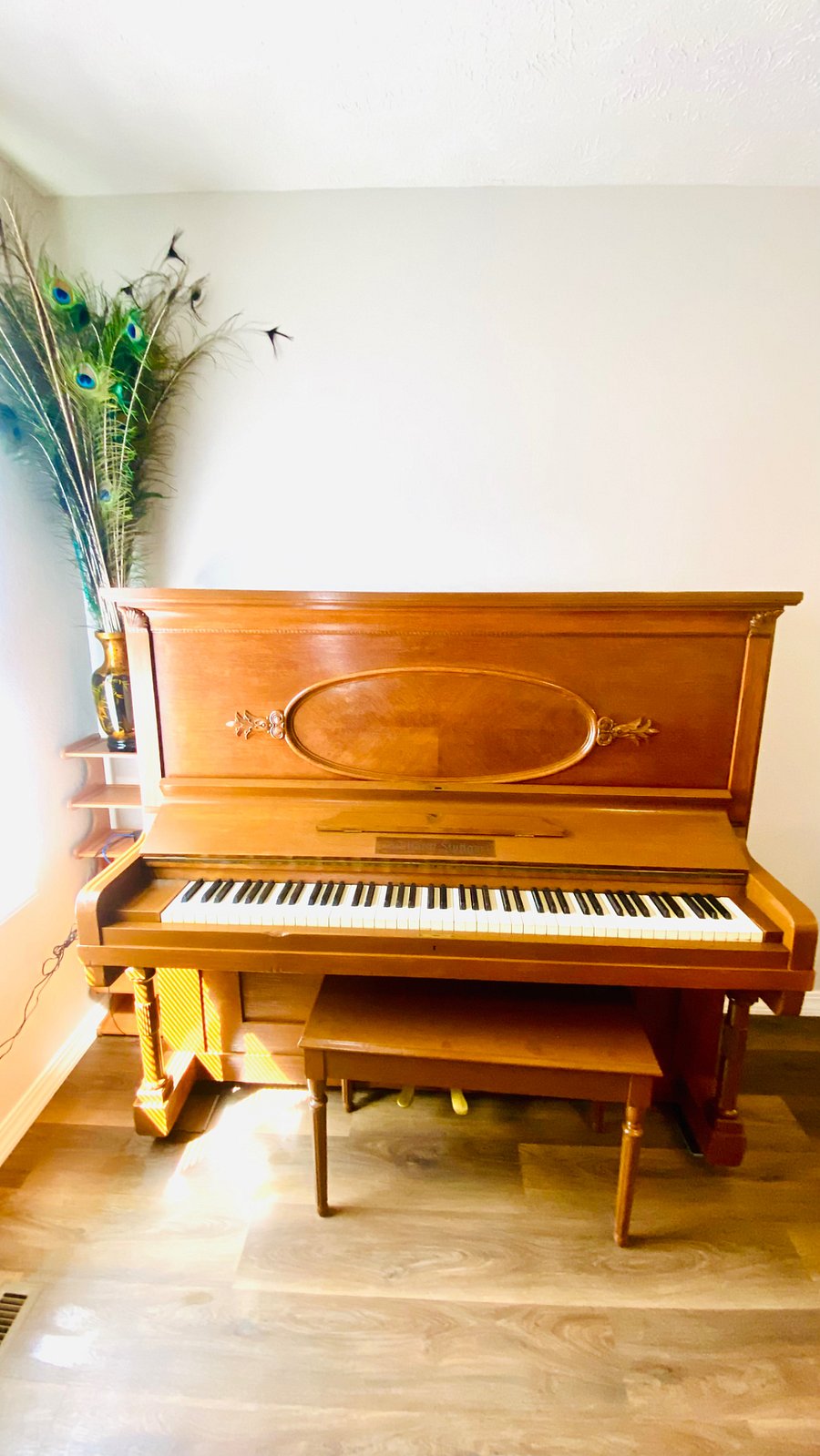 Living room with piano
