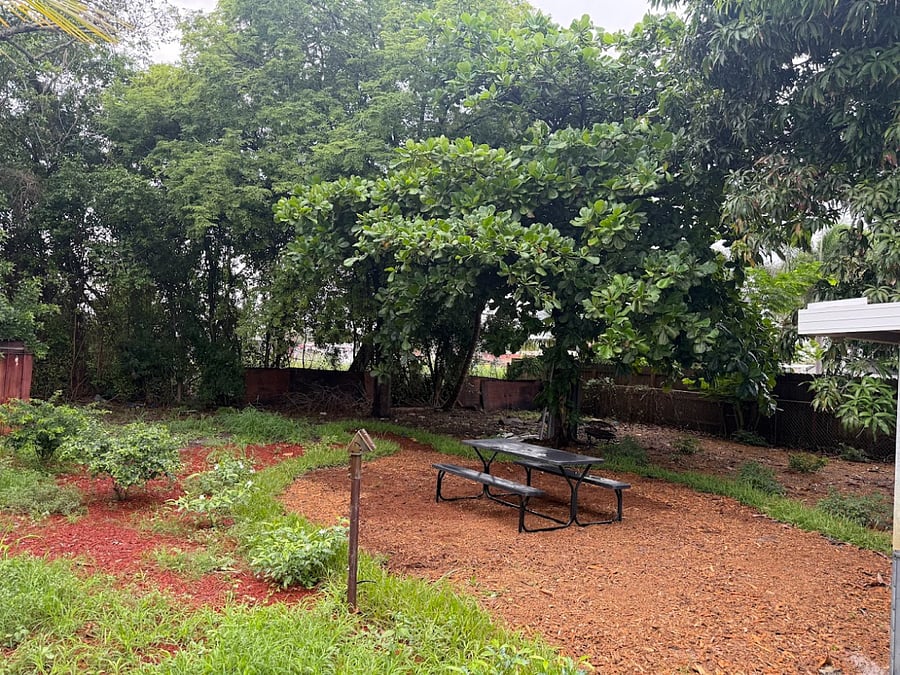 Backyard