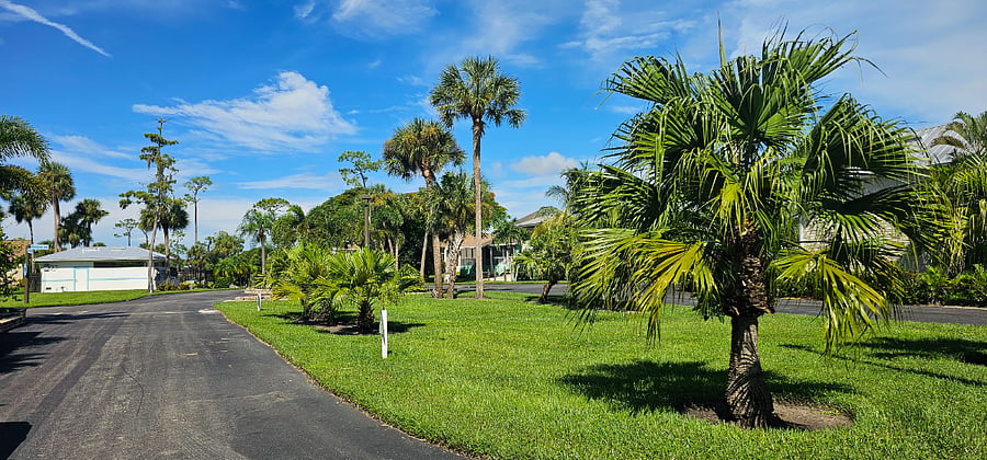 Furnished Finder property 903749_1 photo 30