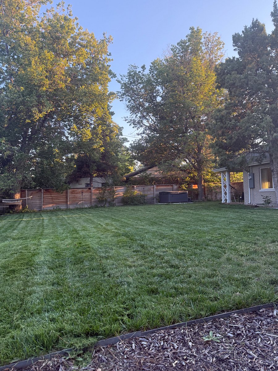 Backyard and Side Patio