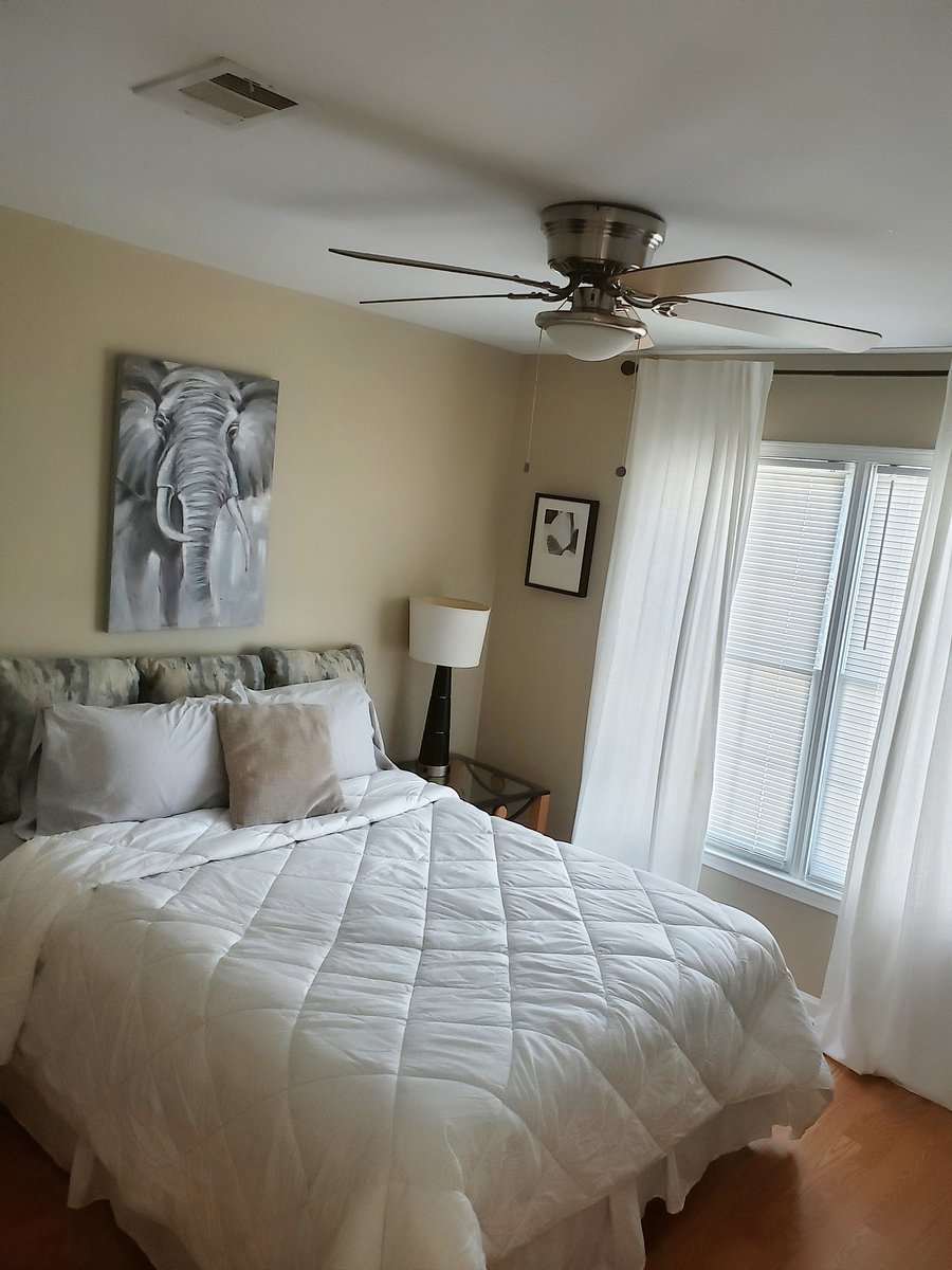 Furnished Finder property 903901_1 photo 39