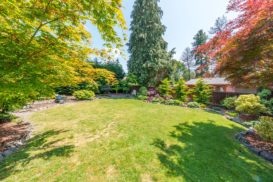 Beautiful landscaped backyard