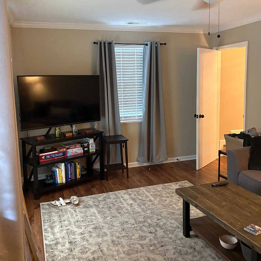 Living room - full pullout couch/smart TV