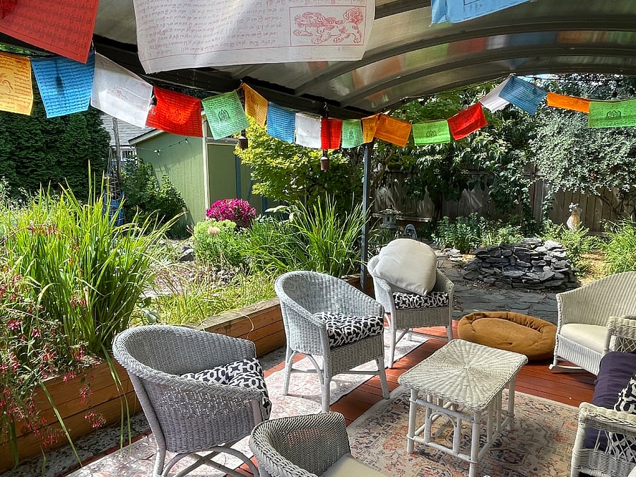 The garden.
