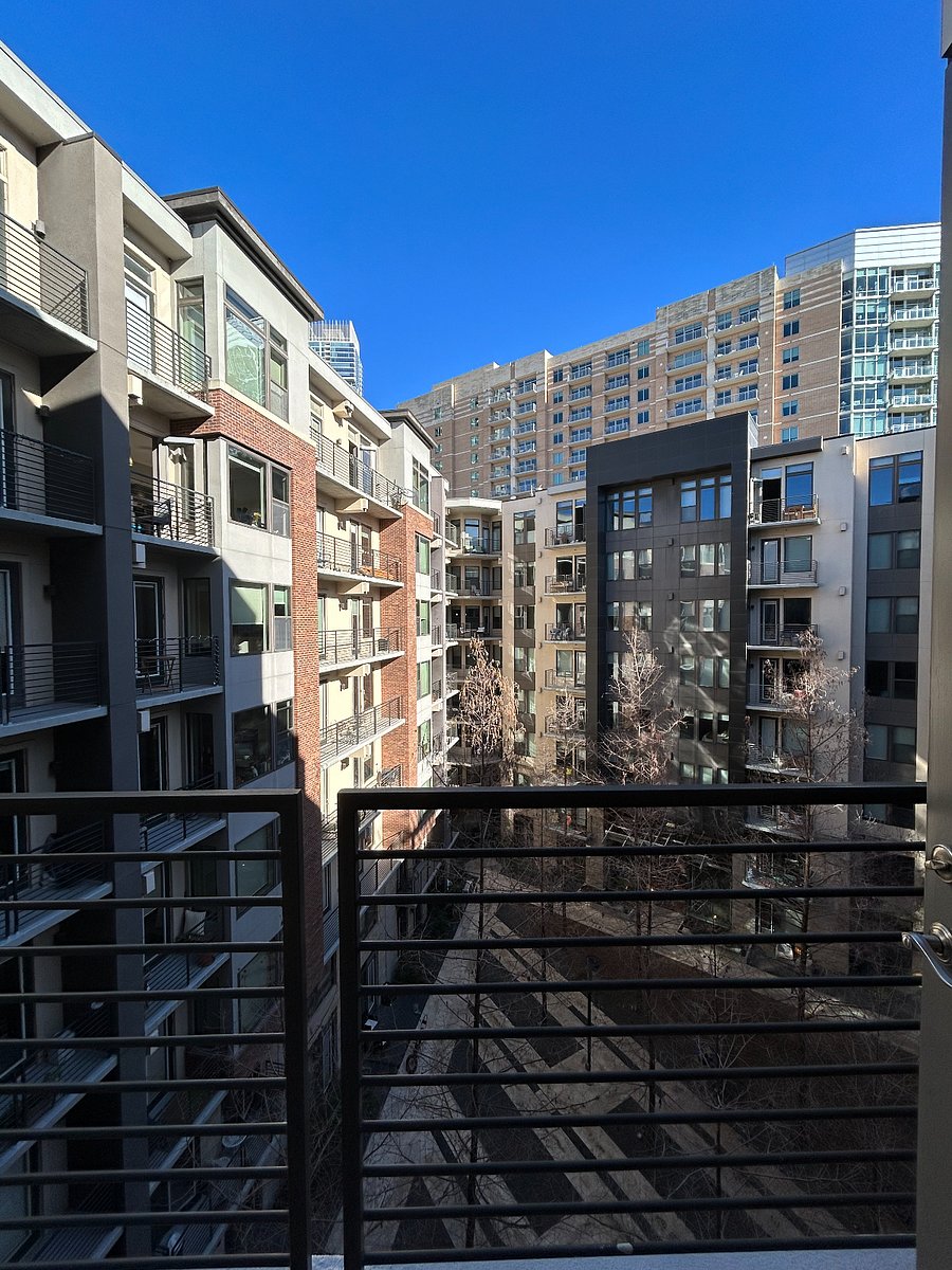 Courtyard view from patio