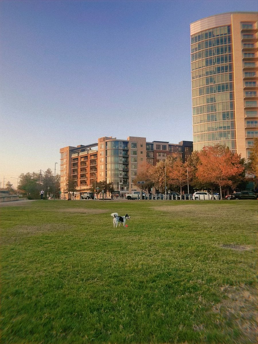 Another park view