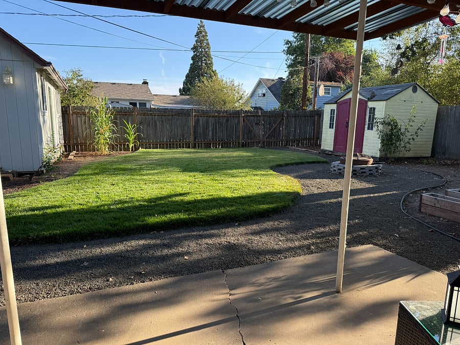 Beautiful backyard - landscaping maintained by owner.