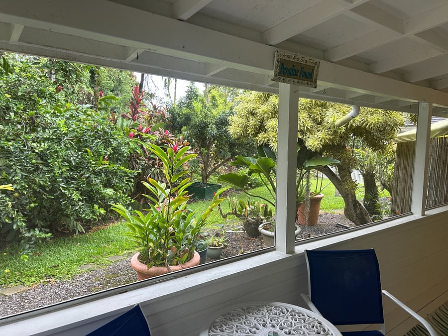 Private garden view