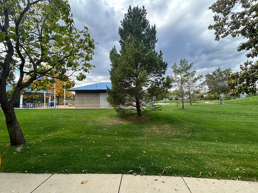 Patio view of the park