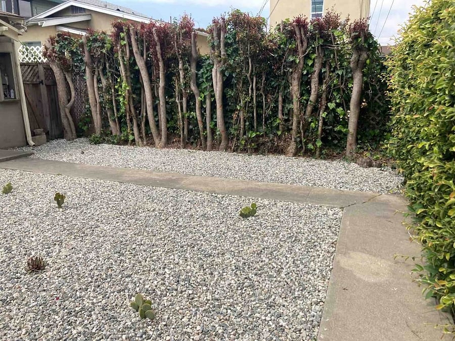 Private Backyard