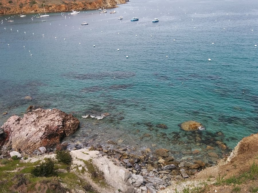 Santa Catalina Island