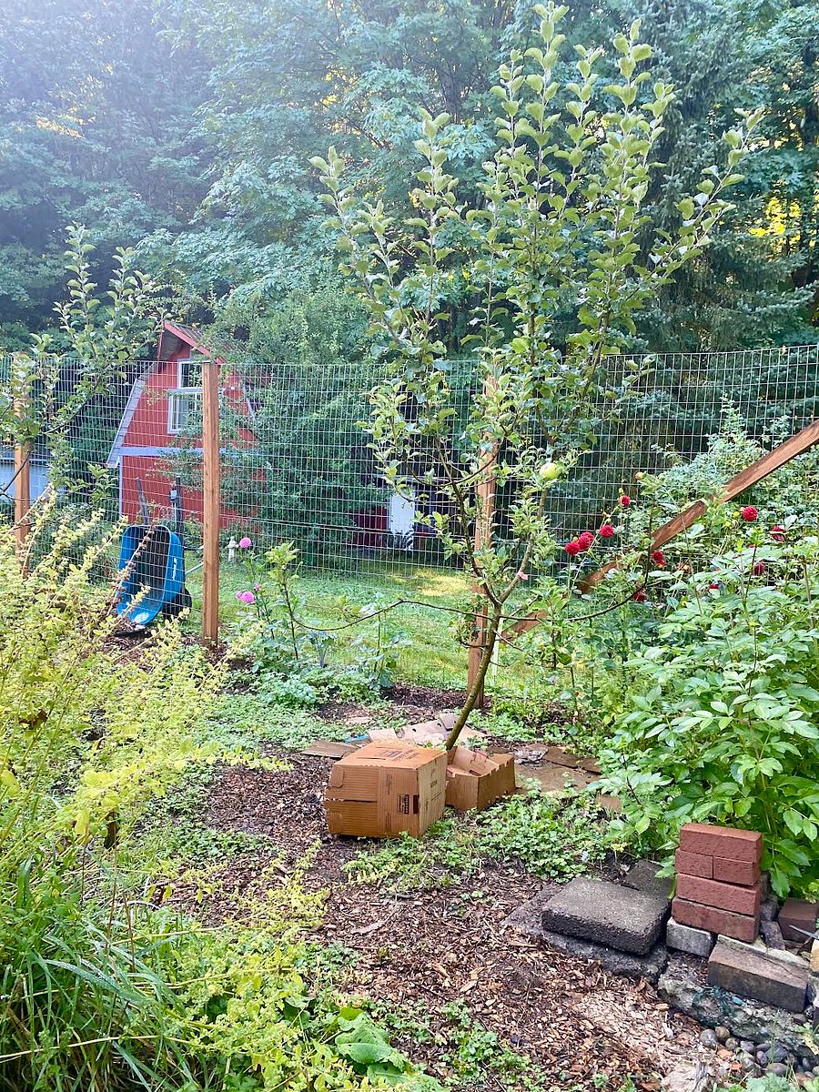 very private barn space at back of 1 acre property near garden
