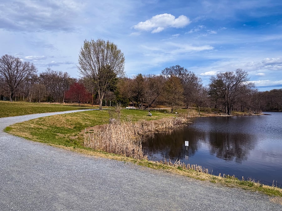 Go for a run or take a stroll on the scenic 1.5 mile loop trail at the neighborhood lake park.