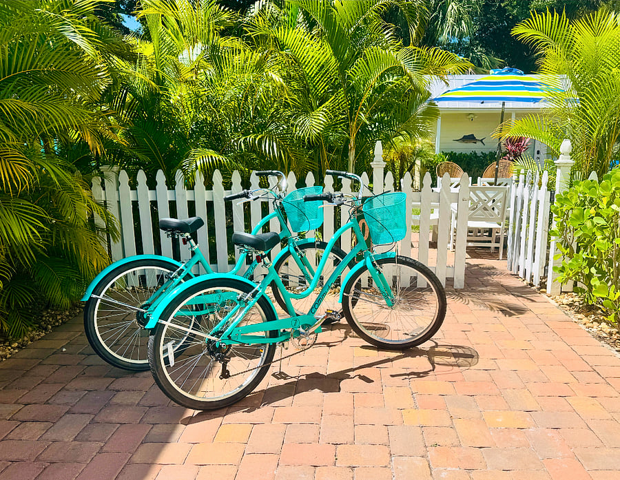Beach cruiser bikes are perfect for exploring downtown or the island.