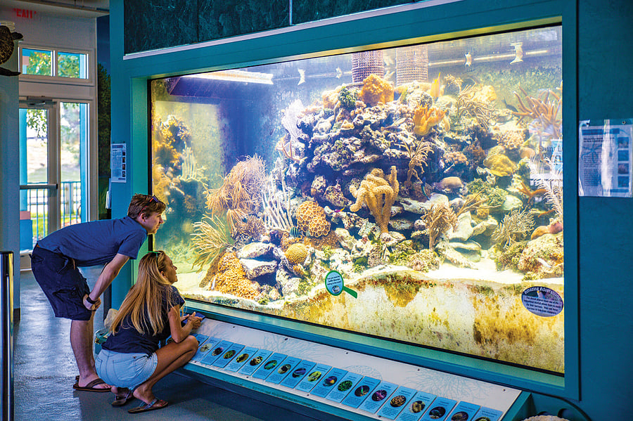 Smithsonian Institution Aquarium, just over the causeway bridge.