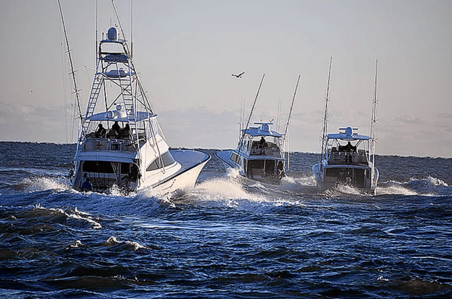 The world class fishing of the Treasure Coast is at your disposal from the City Marina across the street.