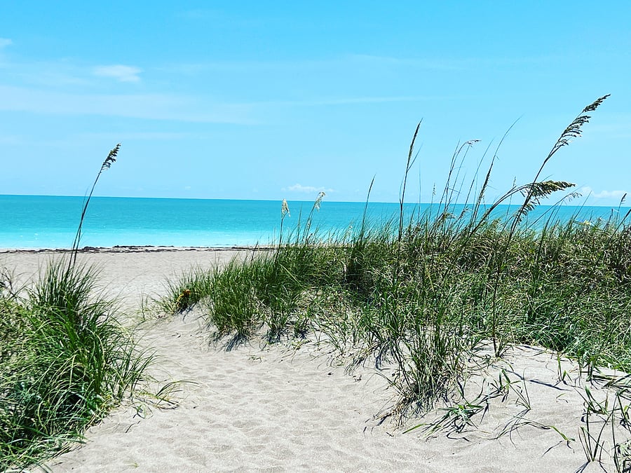 The white sand beaches and turquoise waters of Hutchinson Island are just over the causeway bridge.