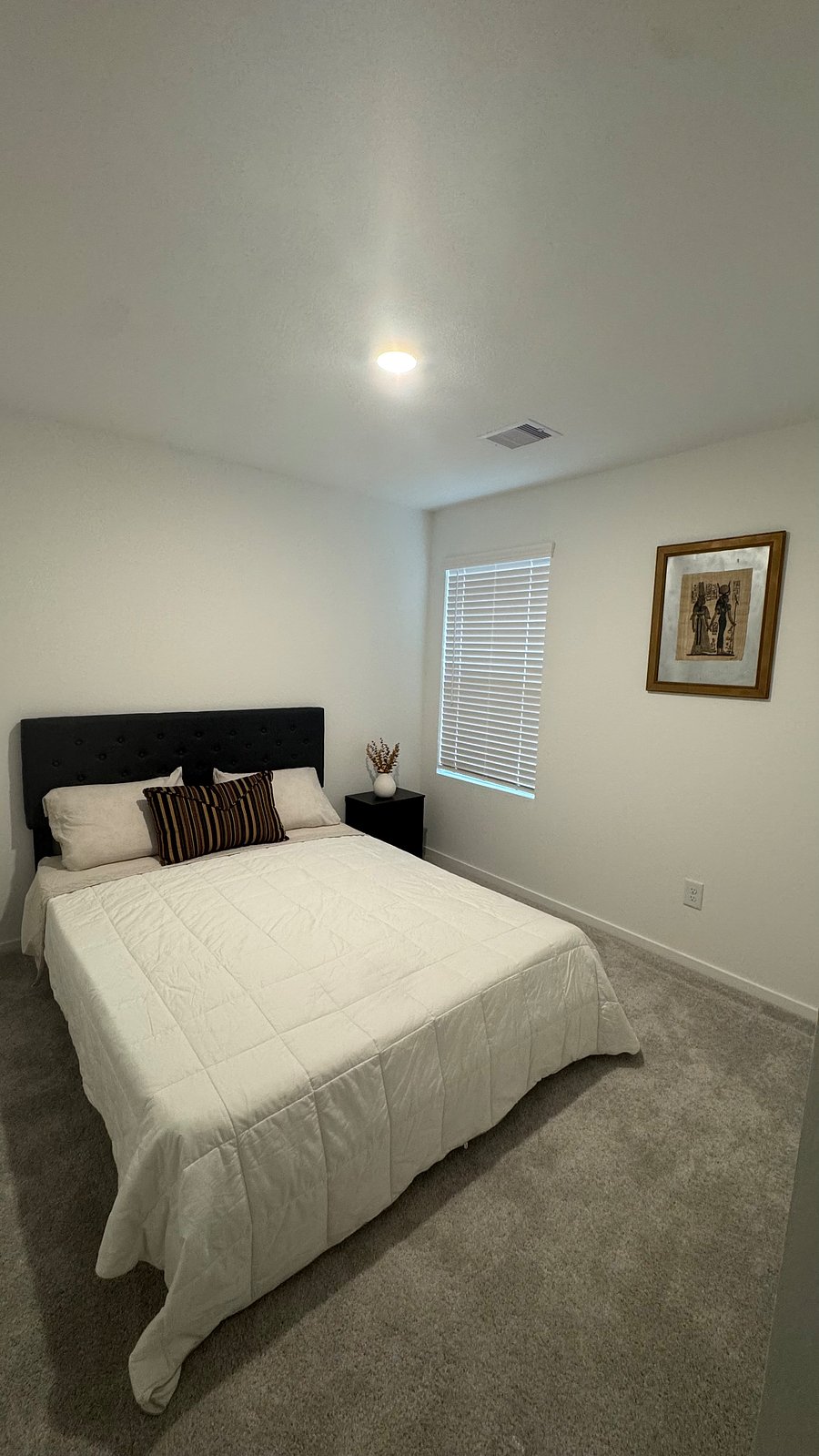 Furnished Finder property 905125_1 photo 31
