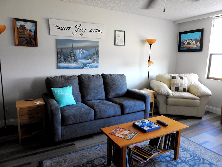 NEW (more comfy) Sleeper sofa