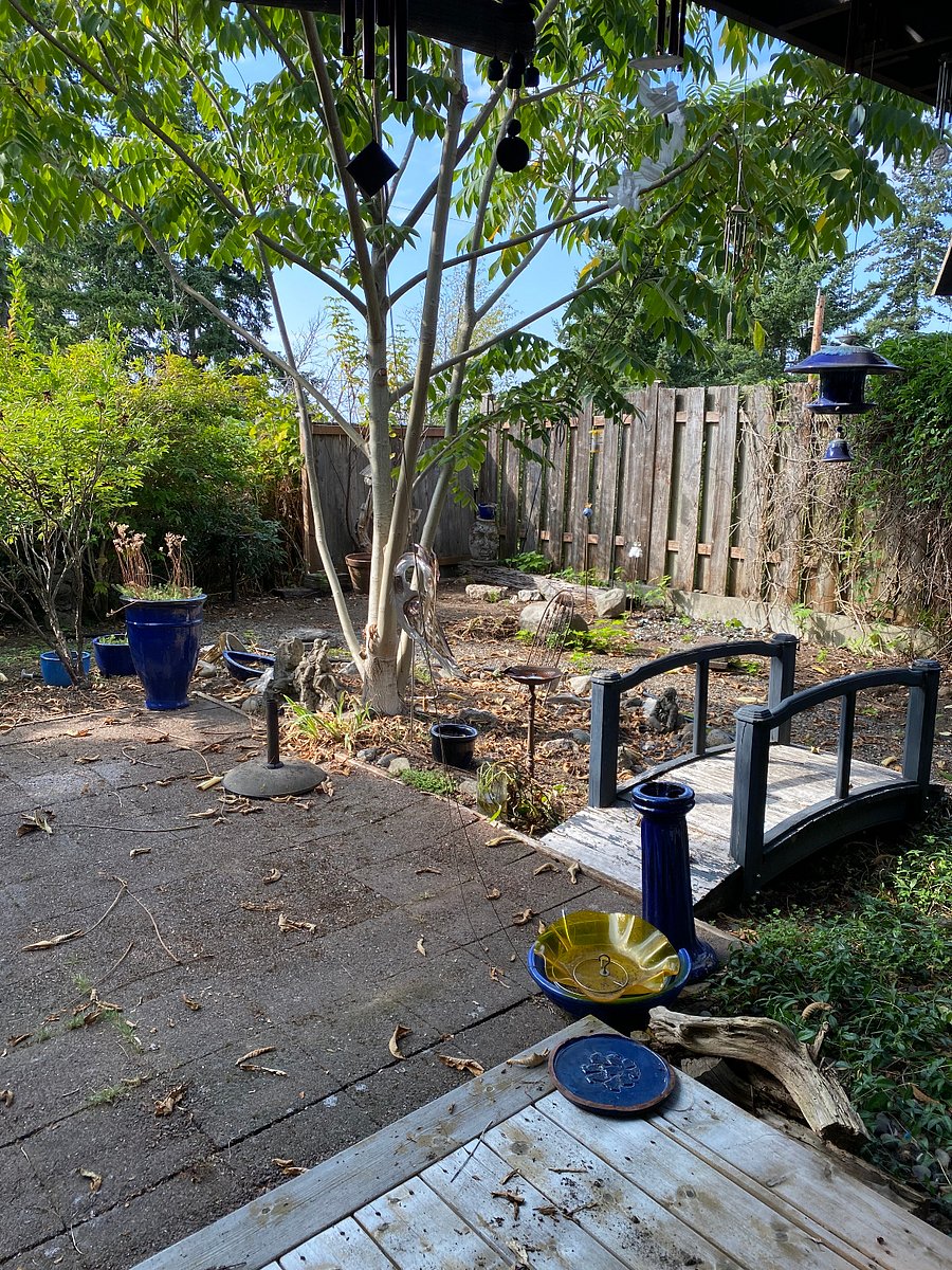 Cute little backyard touches!