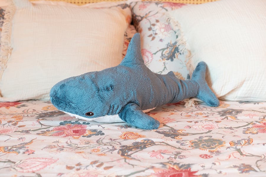 Guard Shark 