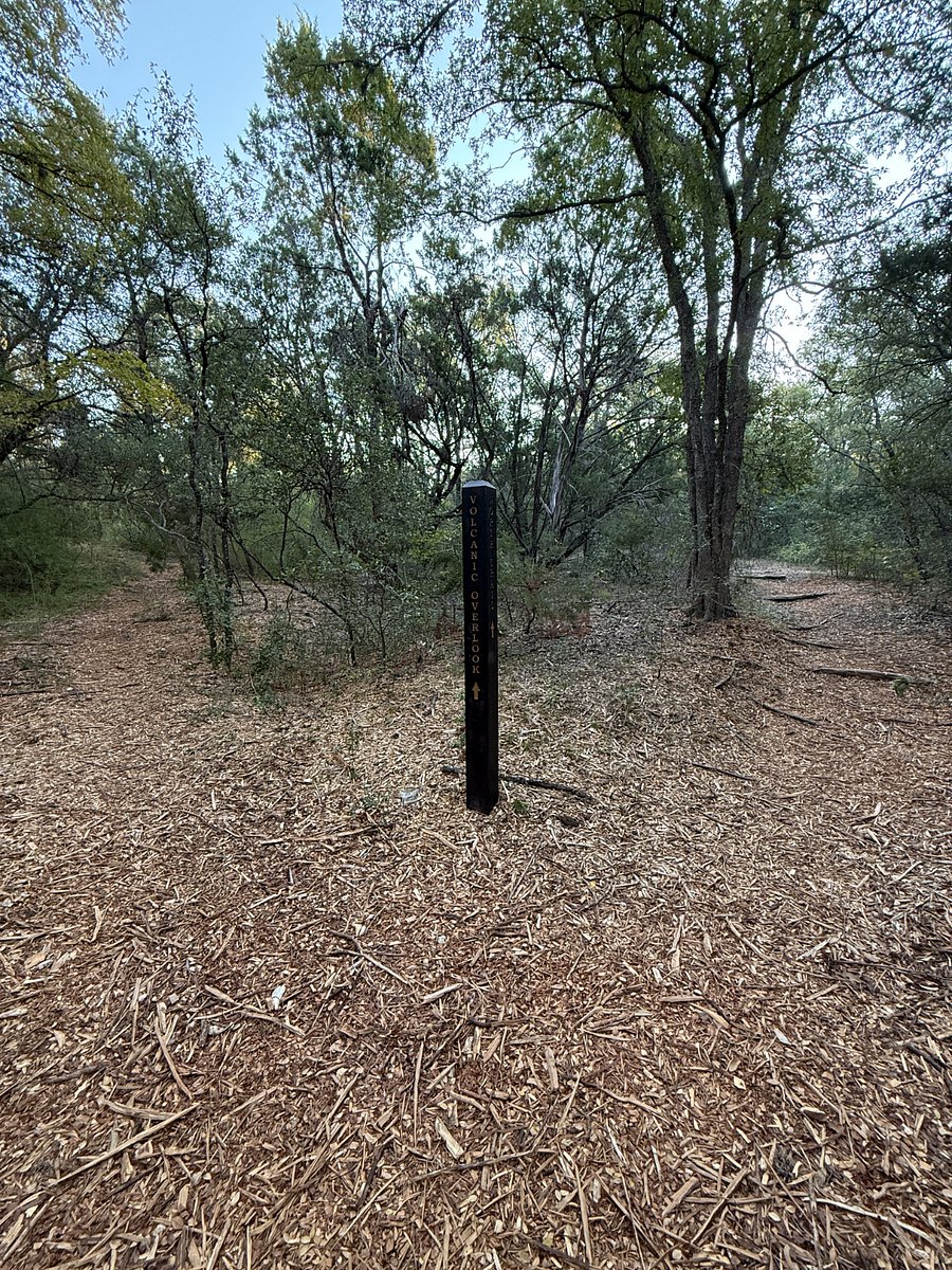 Backyard Trail Views