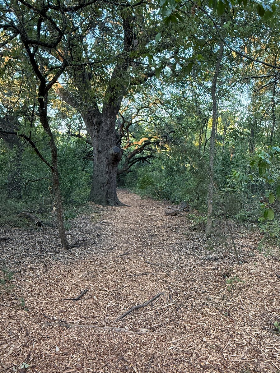 Backyard Trail Views