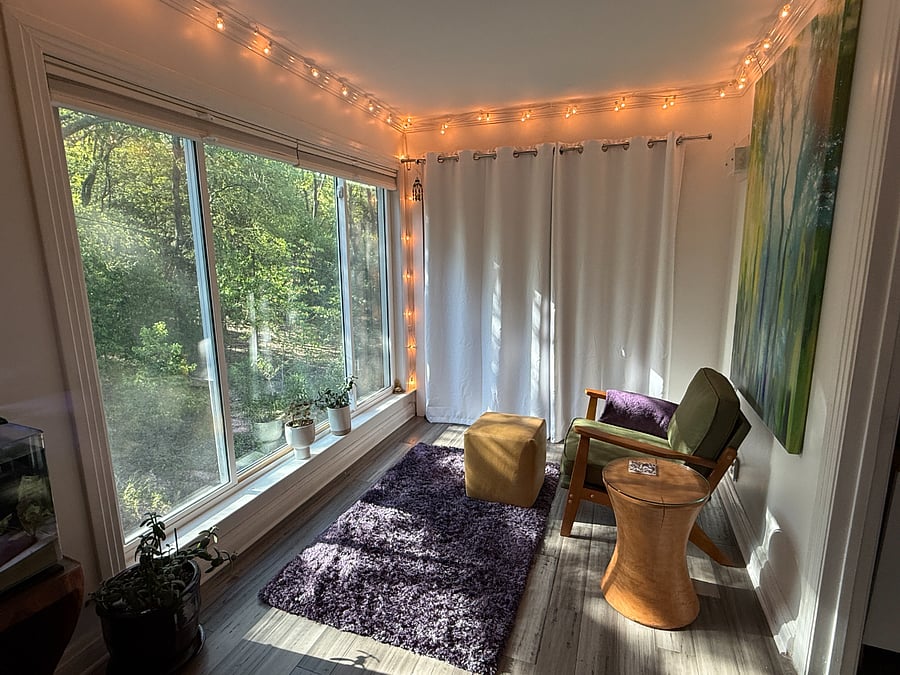 The sunroom looks out into the preserve. A backyard of trails and wildlife.